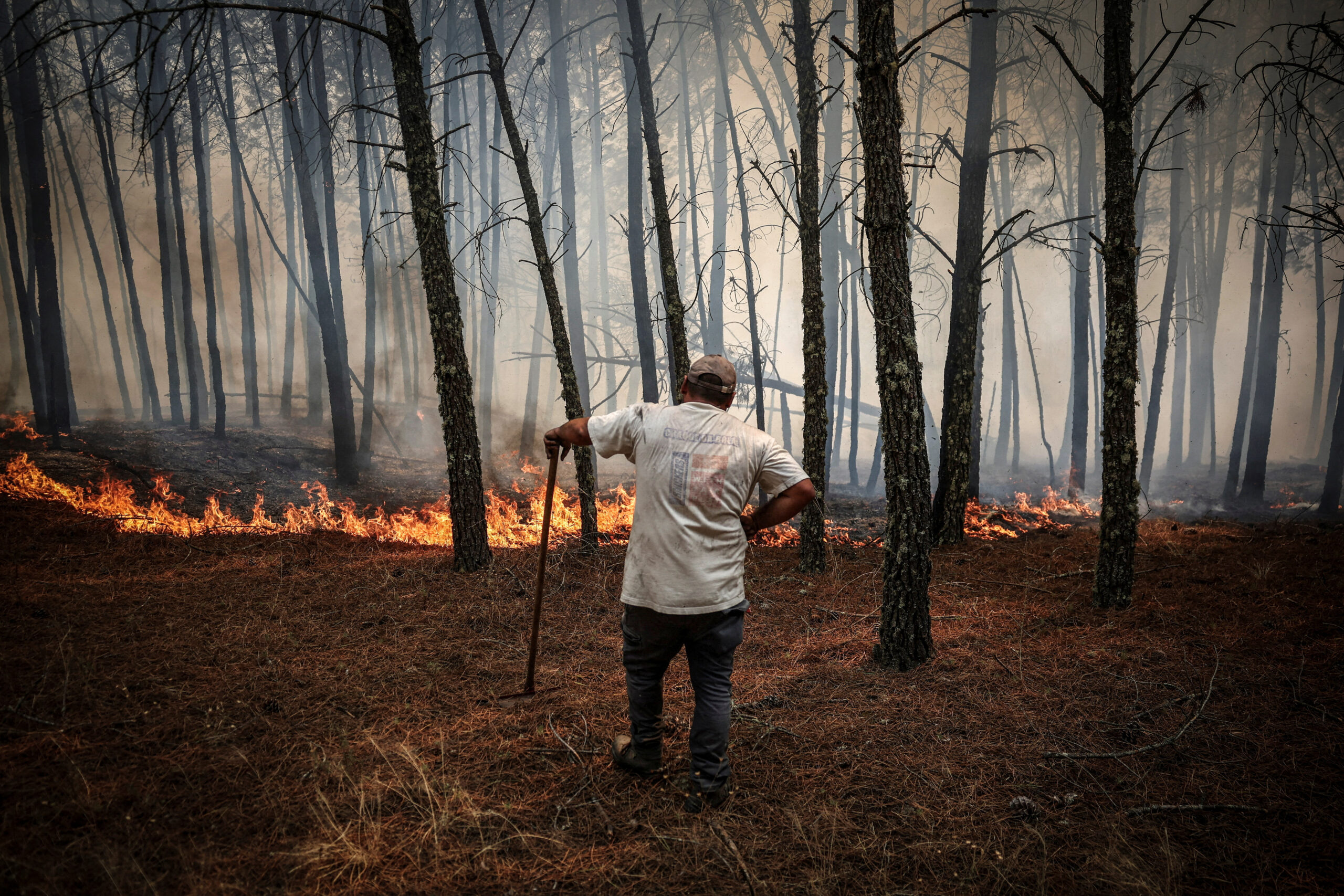 De la lutte contre les incendies à l’anticipation: la prévention des incendies de forêt doit être la priorité